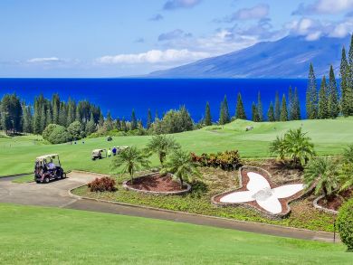 Posh Three Bedroom Luxury Residence for Maui Vacation Posh Three Bedroom Luxury Residence for Maui Vacation